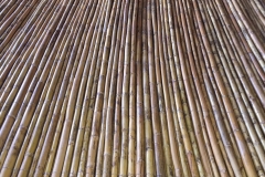IMG_0564