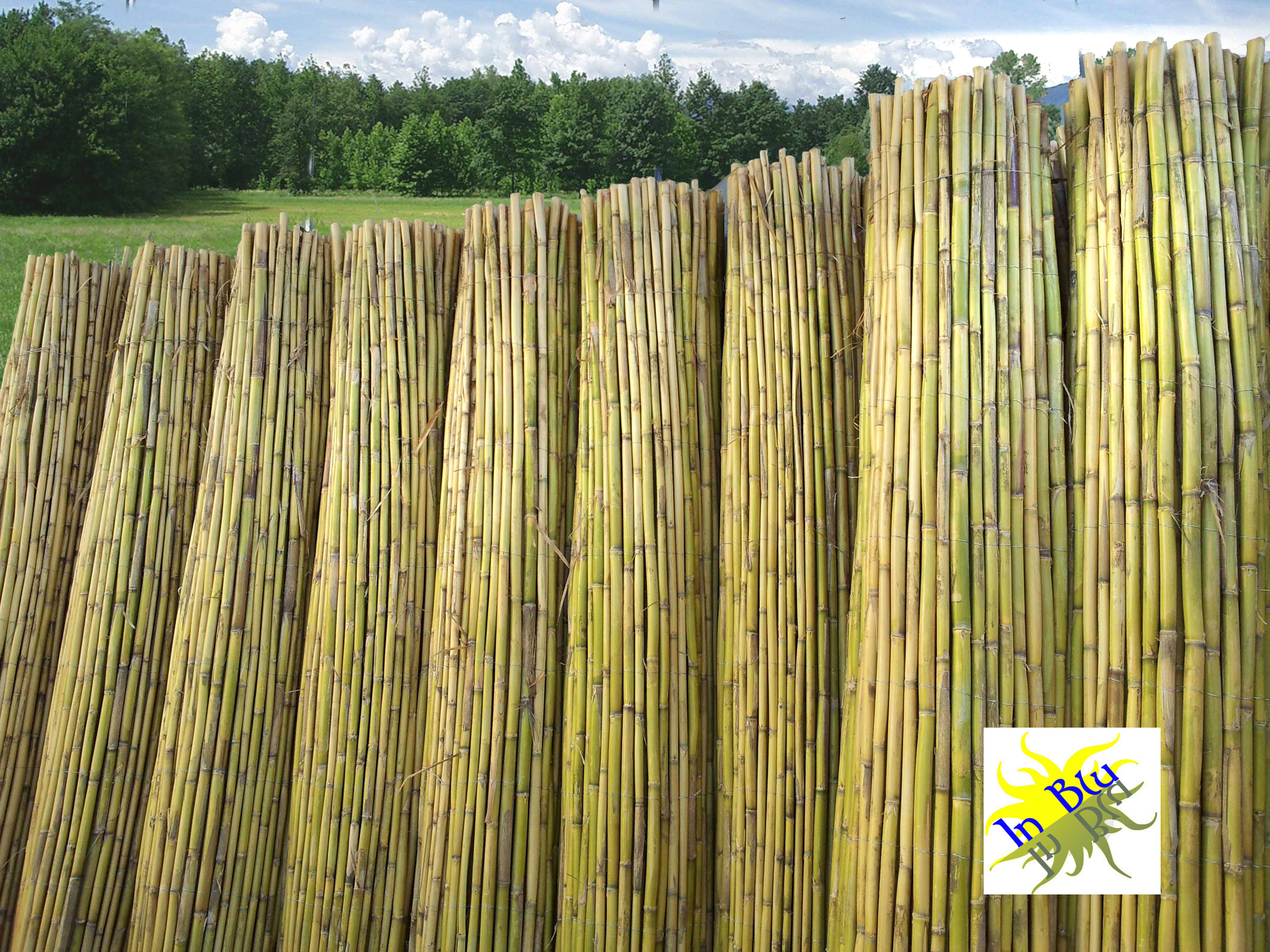 Le nostre produzioni – Production